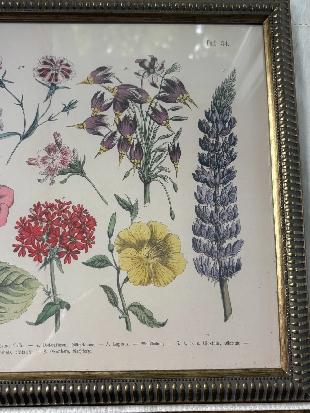 Floral Botanical Print Wall Art in Multi-Color